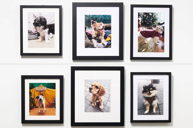 The Best Price To Pay For A Framed Photo And Where To Get It