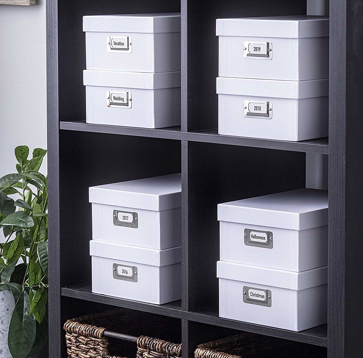 A grid of shelves, with two white photo boxes stacked on each shelf, each with a year in the metal label holder on front