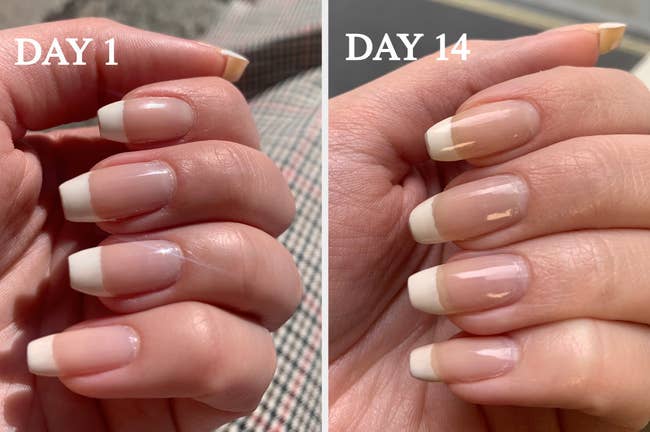 A BuzzFeeder's photos of their nails on day 1 and day 14 of using the top coat