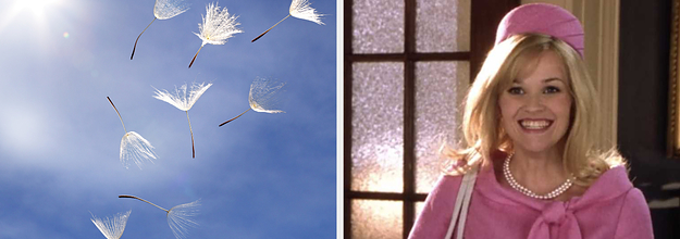 what your favorite color says about you buzzfeed