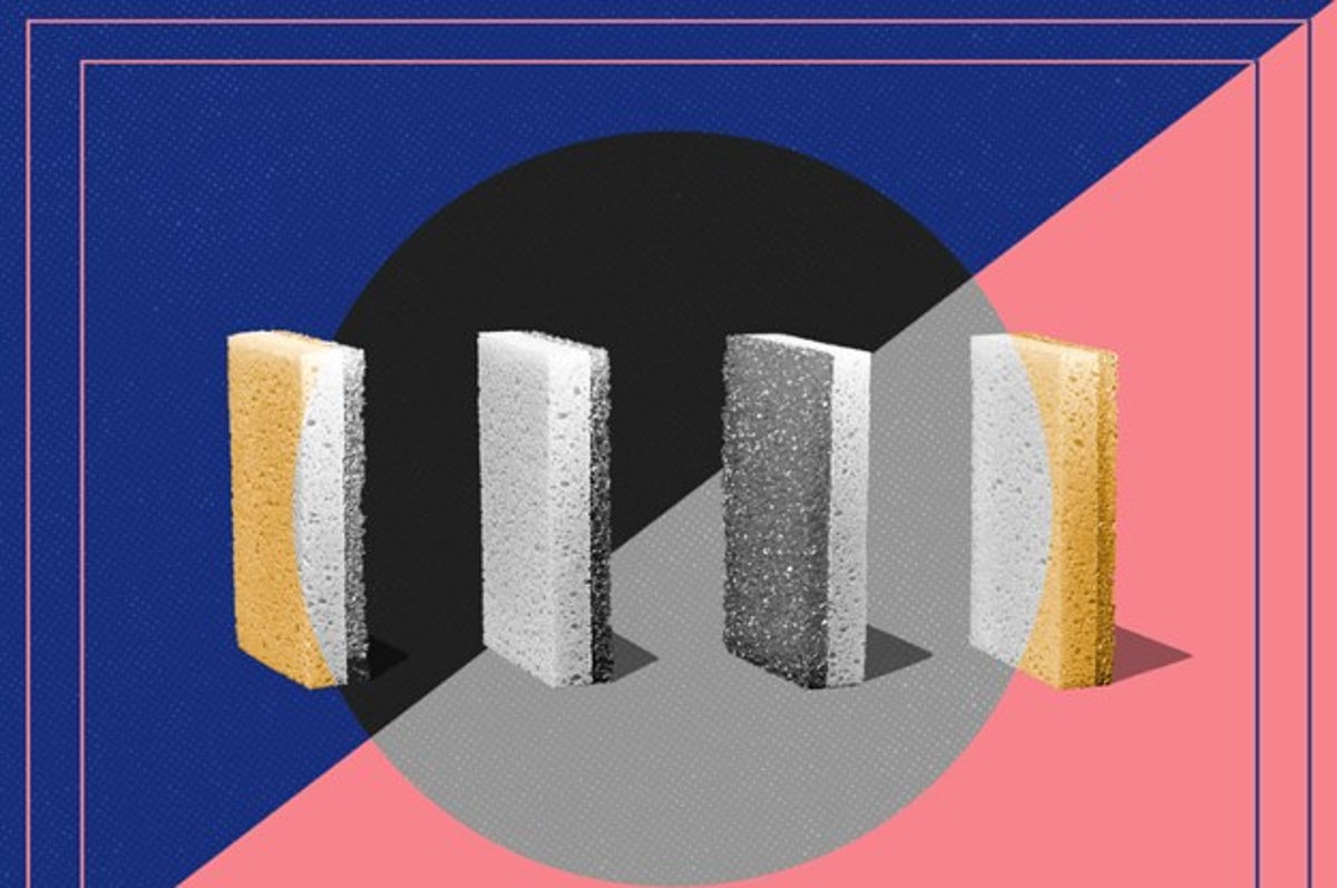 15 Brilliant Types of Sponges for Cleaning - Sponge Hacks