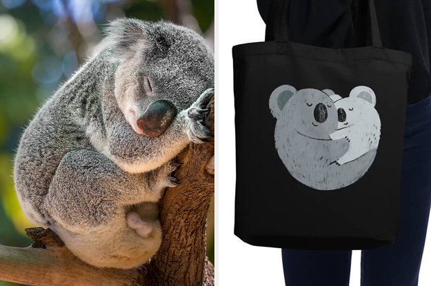 BuzzFeed's Line Of Adorable Koala Products Is One Small Way To Help Out Relief Efforts In Australia