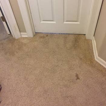 Reviewer photo of a stain on their carpet