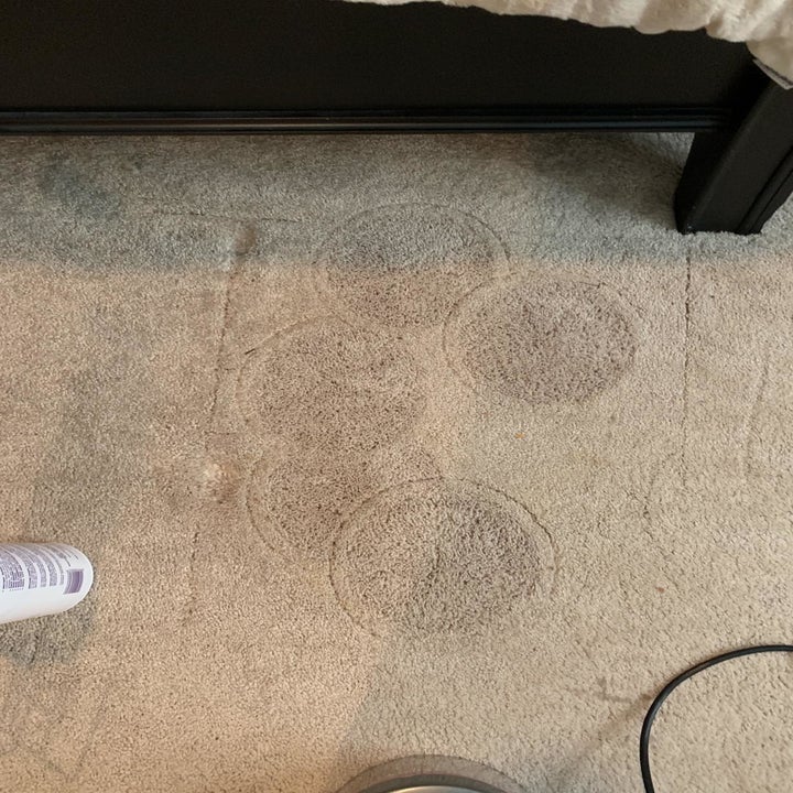 Same reviewer's photo showing the SpotBot got rid of the stain completely