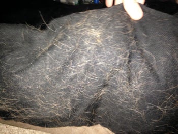 Reviewer photo of a couch cushion that's covered in pet hair