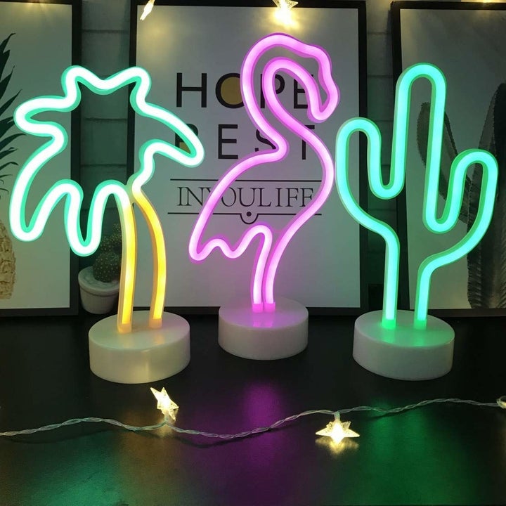 Cool Things Under 20 On Amazon Canada