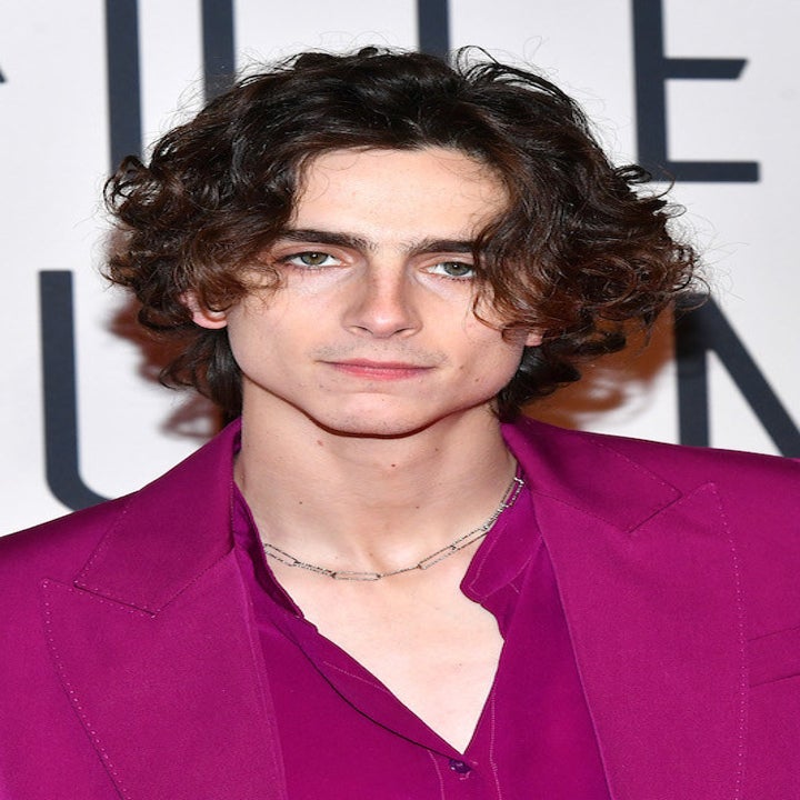 Timothée Chalamet Is Playing Bob Dylan In A James Mangold-Directed Biopic