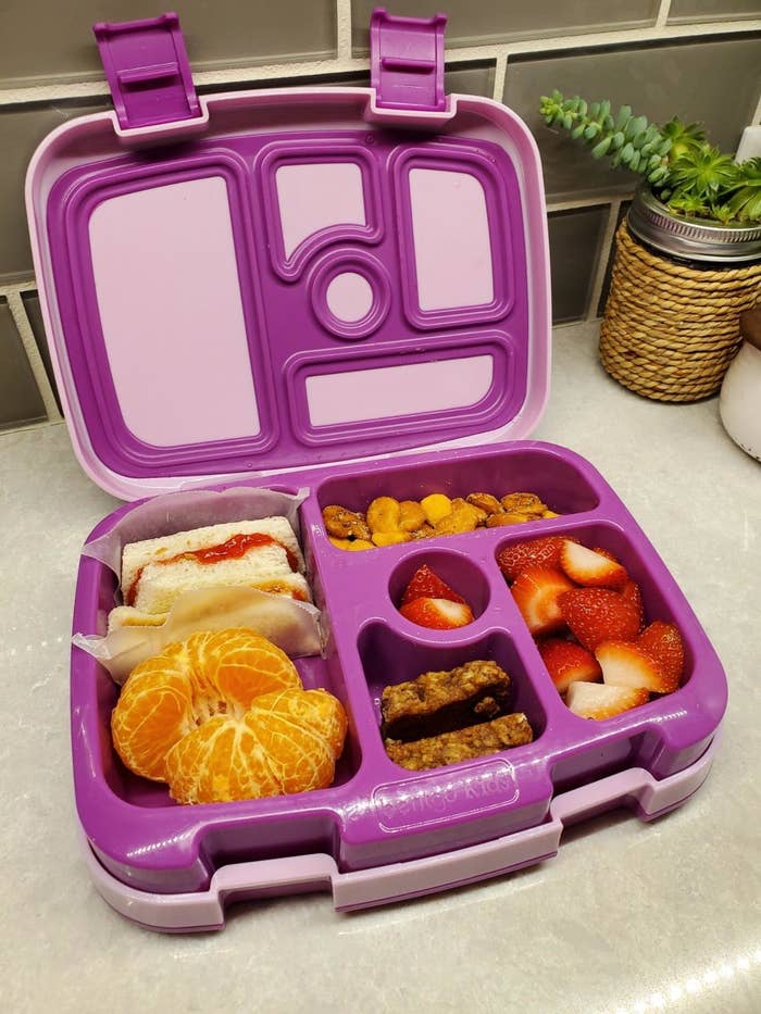 Shoppers Love This Now-$20 Insulated Lunch Box That 'Keeps Drinks  Cold All Day