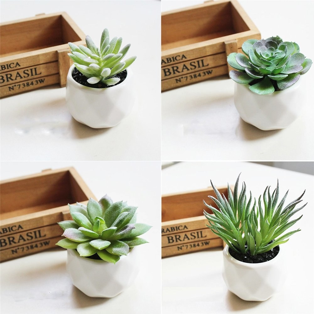 Four images of plants pots with tiny succulents inside them