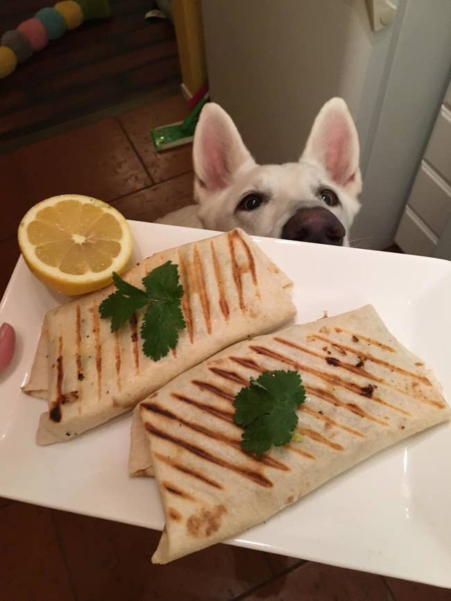 Reviewer photo of two quesadillas with grill marks
