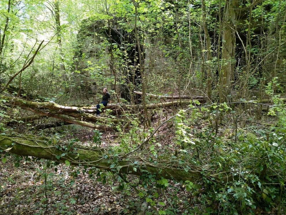 そこに いる の 絶対知らない方がいい 怖すぎる現象 パレイドリア