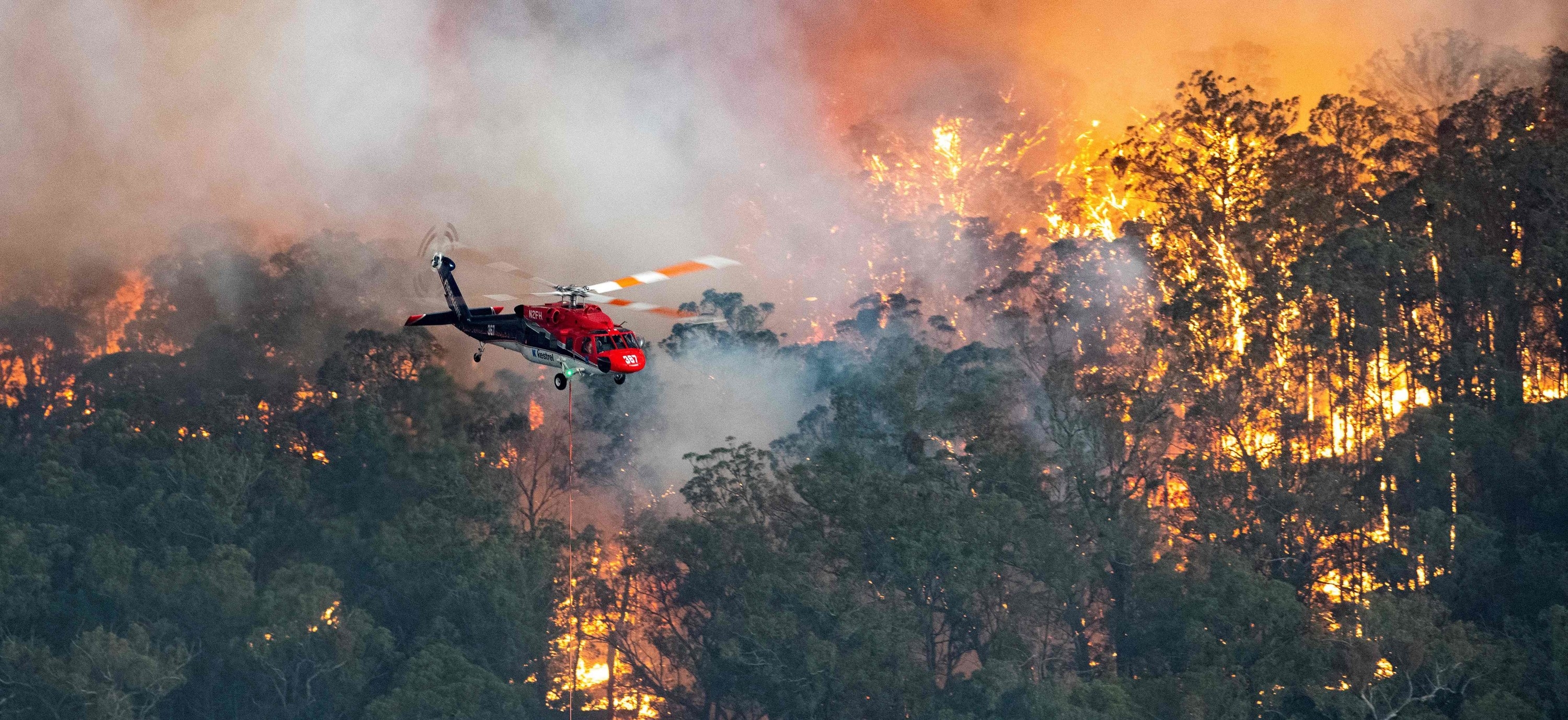 オーストラリアの山火事 と拡散された画像は誤り 画像は全て過去の森林火災