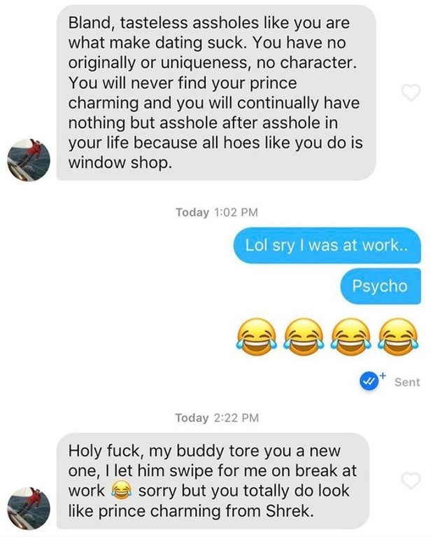 &quot;Assholes like u are what makes dating suck&quot; and &quot;you&#x27;ll never find your prince charming because all hoes like you do is window-shop&quot;; response: &quot;Psycho&quot;; then &quot;I let my buddy swipe for me on break, sorry, but you do look like Prince Charming from Shrek&quot;