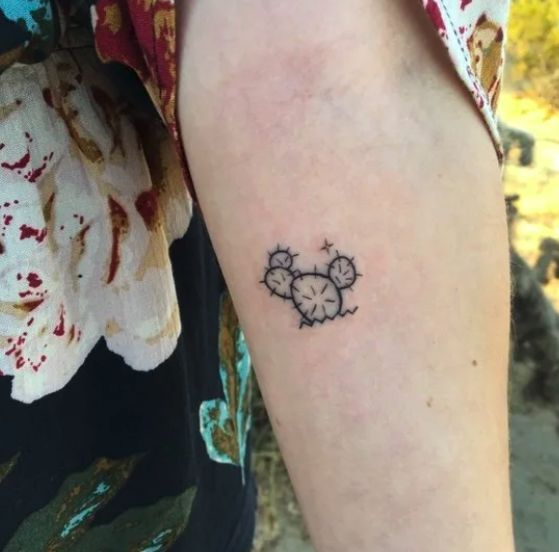 A small cactus tattoo on someone&#x27;s arm