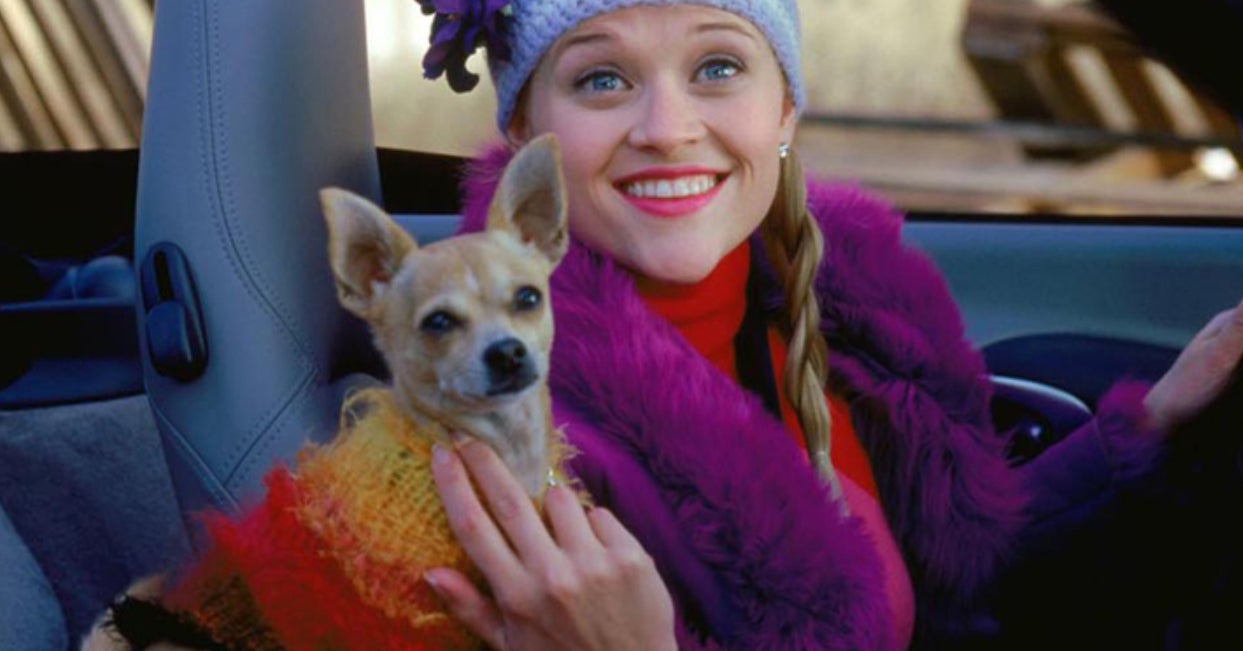 Do You Remember The Names Of These Adorable Movie Dogs?