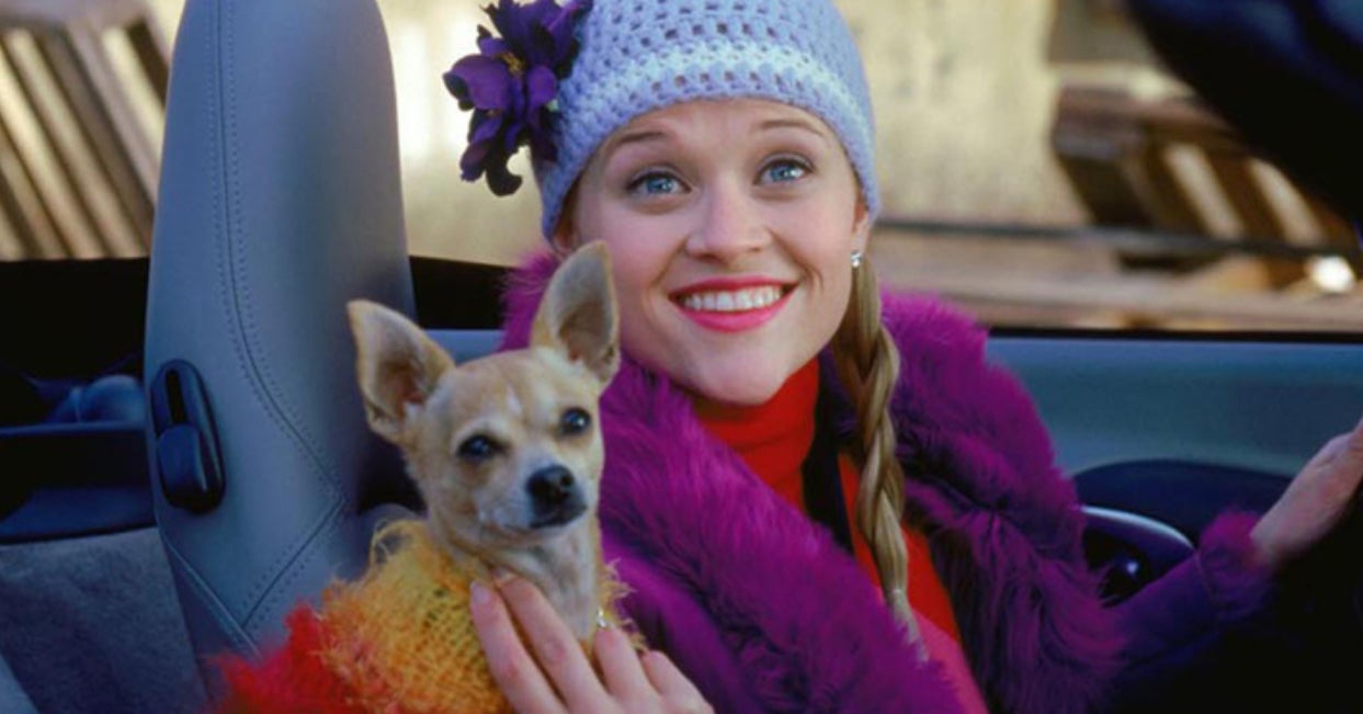 Do You Remember The Names Of These Adorable Movie Dogs?