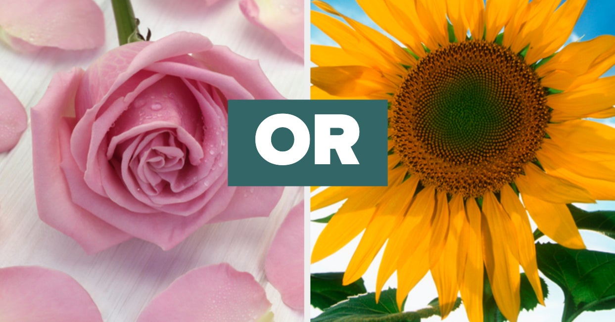 Quiz Tell Us About Your Day And We'll Tell You Which Flower Matches
