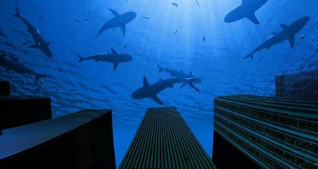 Quiz: Descubra qual tubarão você fisgaria no Shark Tank Brasil