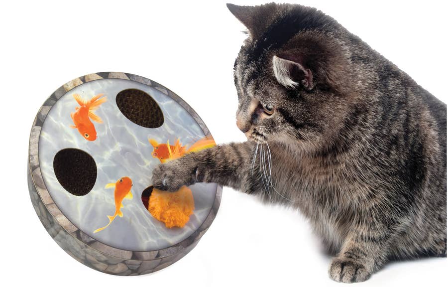 If You Re A Pet Parent You Ll Probably Want A Few Of These 31 Things From Walmart