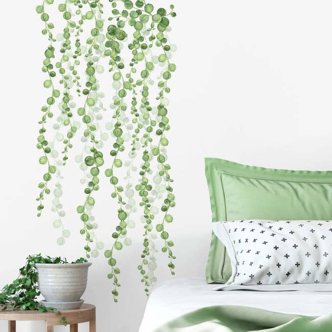 green string of pearls wall decal applied to a white wall