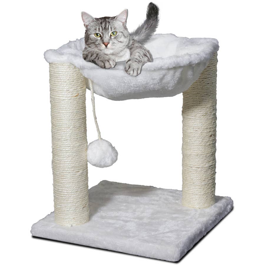 If You Re A Pet Parent You Ll Probably Want A Few Of These 31 Things From Walmart