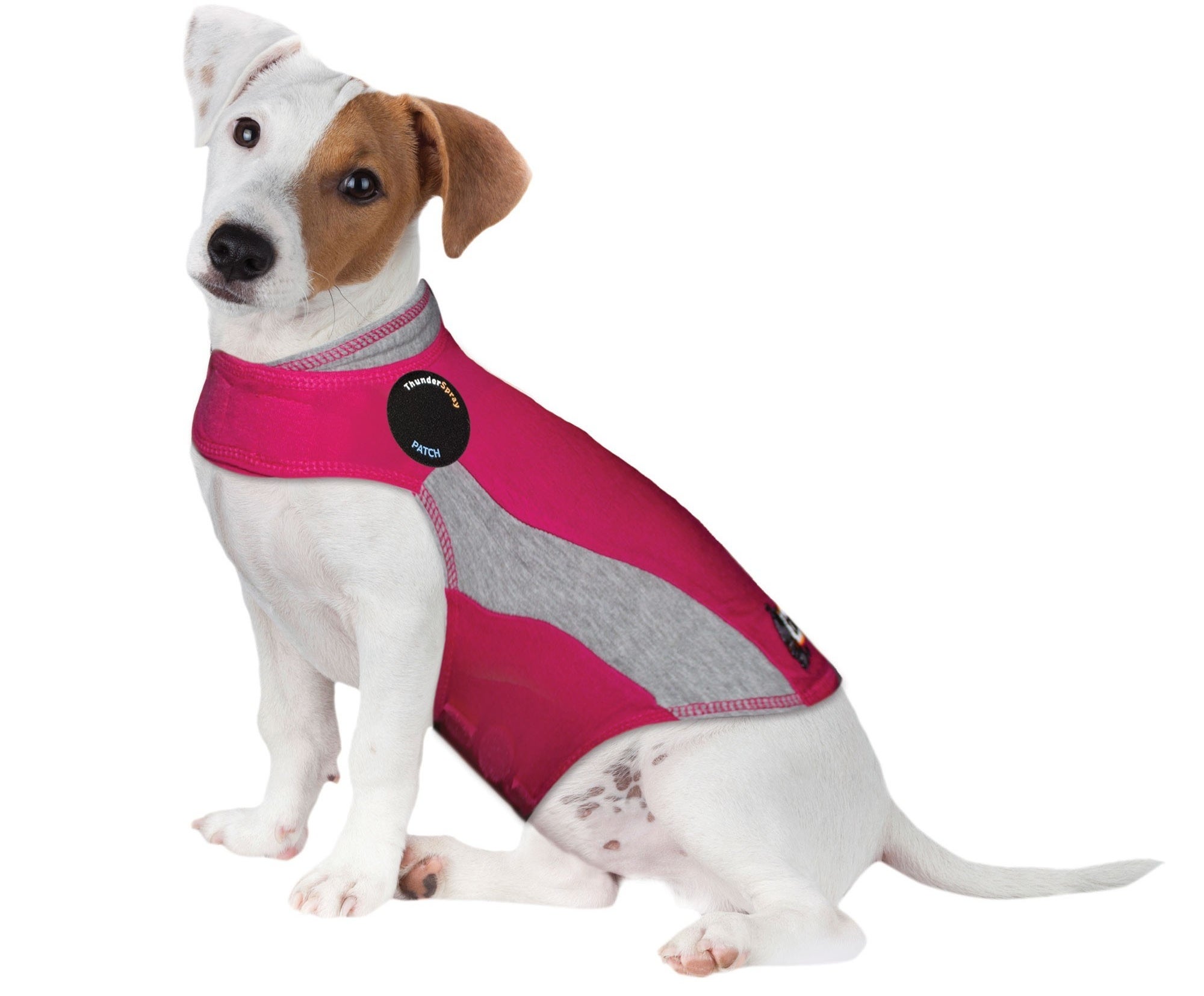 A dog in the form-fitting, sleeveless jacket 