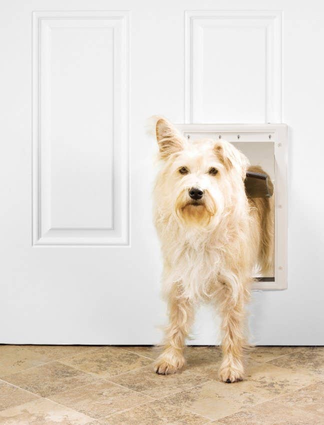 If You Re A Pet Parent You Ll Probably Want A Few Of These 31 Things From Walmart