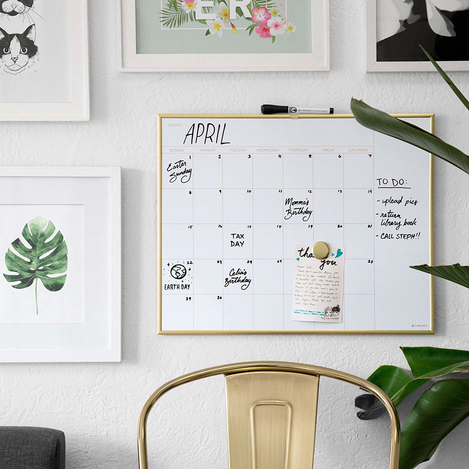Whiteboard calendar with gold frame in plant-covered office 