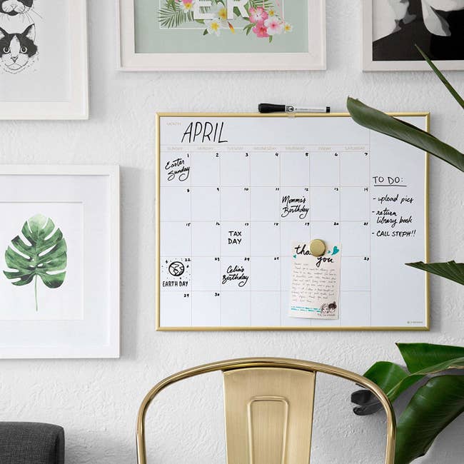 Whiteboard calendar with gold frame in plant-covered office 