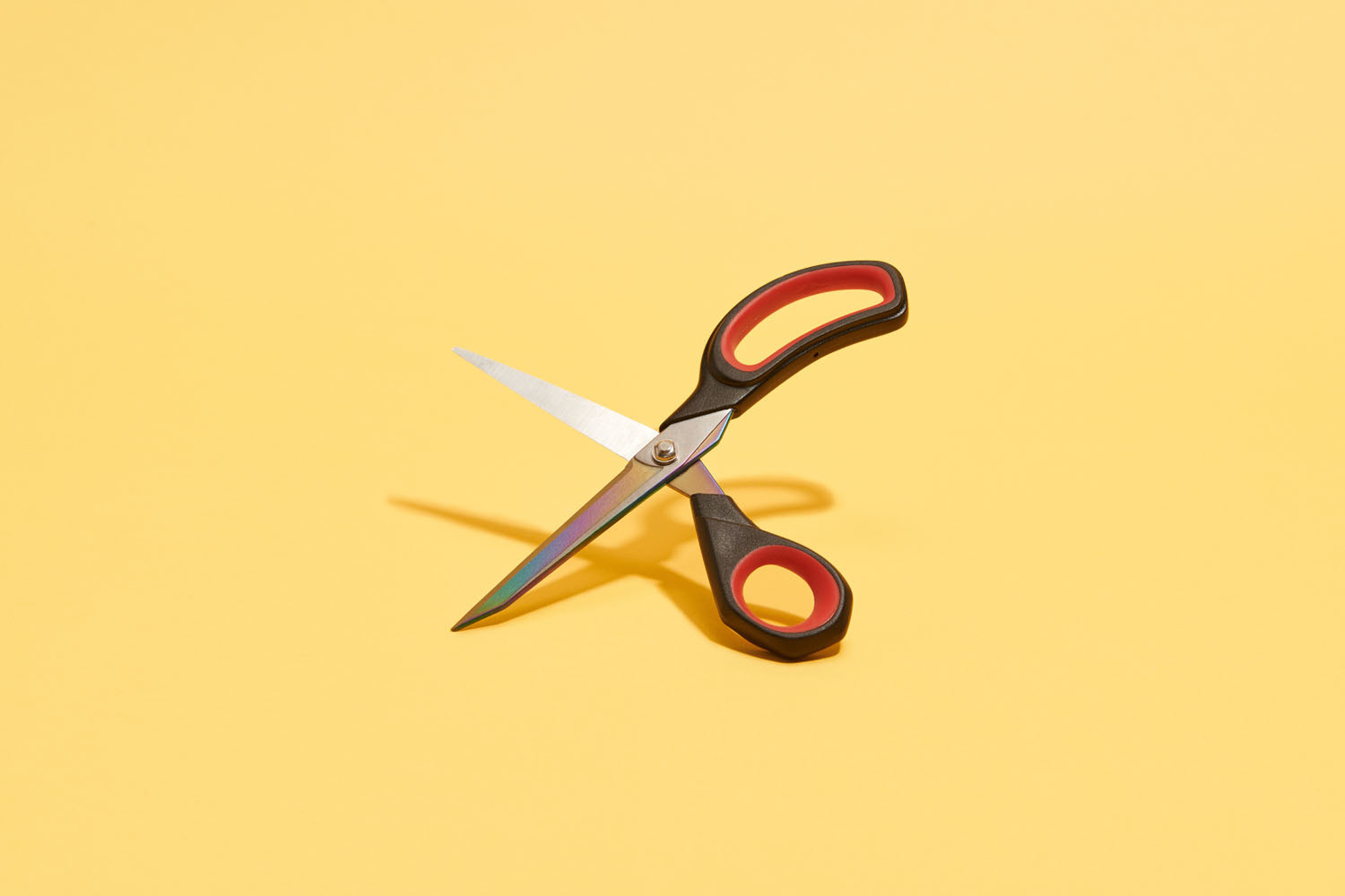 These are the best scissors I've ever owned - Curbed