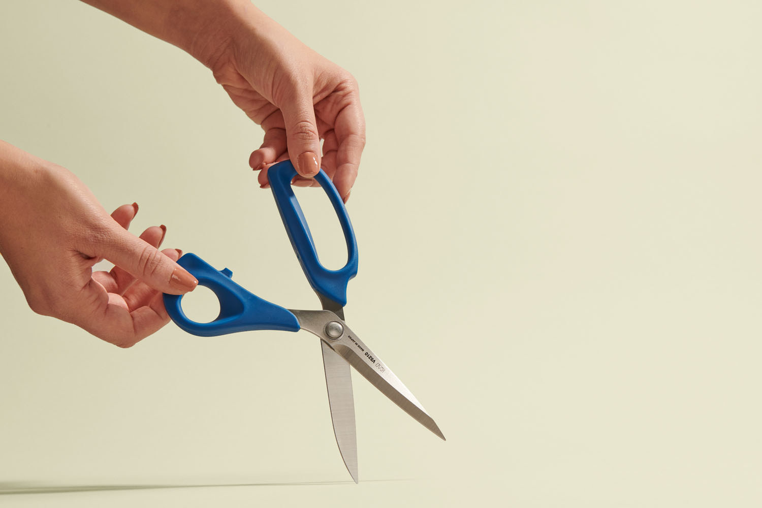 These are the best scissors I've ever owned - Curbed