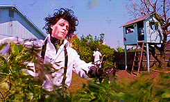 anigif_sub-buzz-1675-1581537125-16.gif
