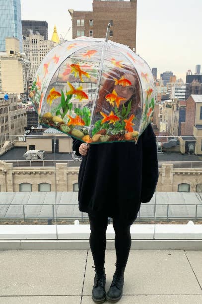 Person holding clear umbrella covered in goldfish and water plants