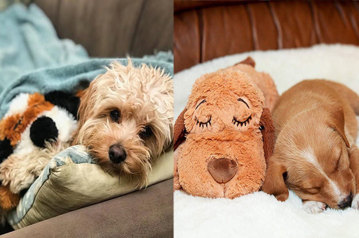 Snuggle Puppy' Is Specially Designed To Help Dogs With Separation