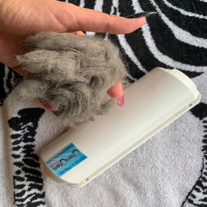 a reviewer holding a wad of fur that they brought up using the roller