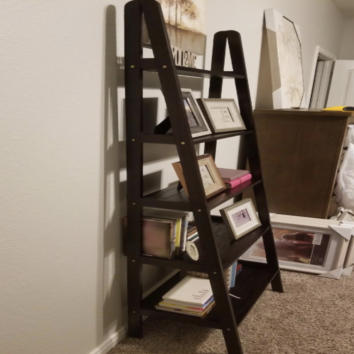 a reviewer's ladder bookcase