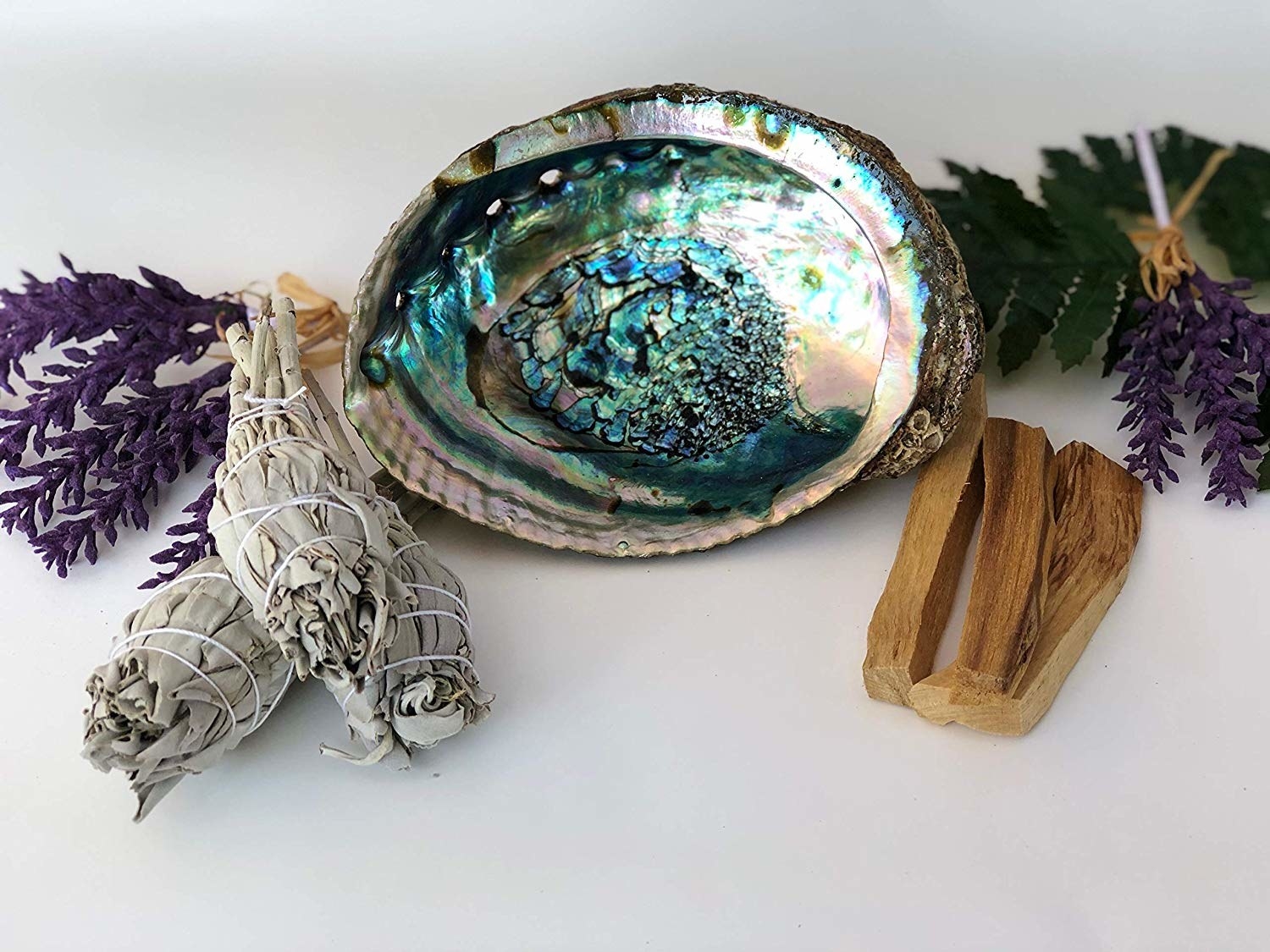 Glistening, colorful shell beside sage and wood 