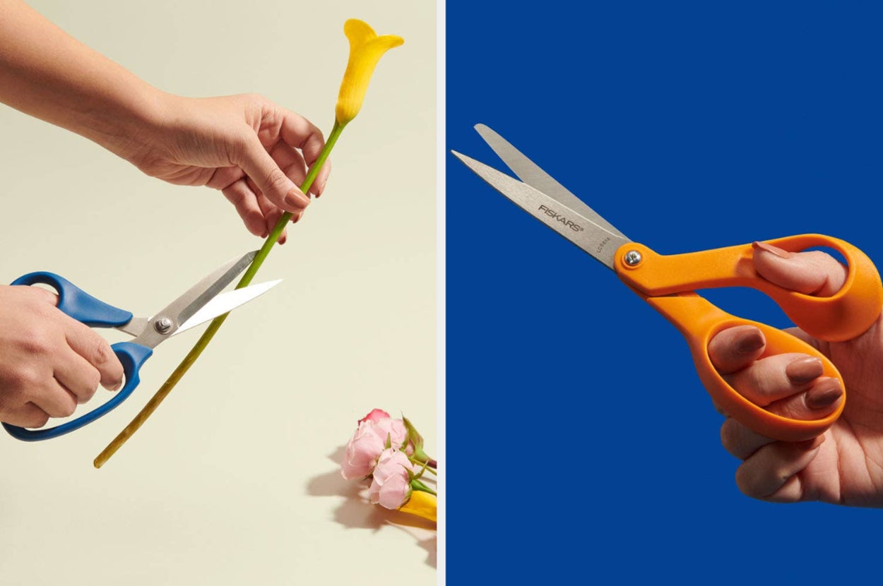 The Best Scissors For Any Budget