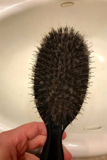 A reviewer's hairbrush caked with hair, so you can't even see the base holding the bristles
