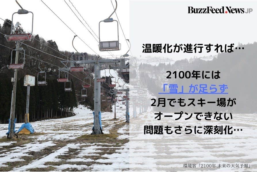 雪や桜 日本で80年後に 変わってしまうかもしれない 6つのこと