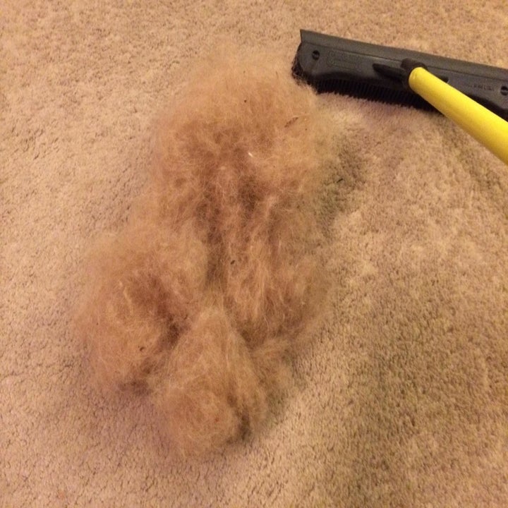 Pile of hair next to the black silicone bristled broom 