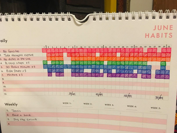 A reviewer's calendar filled in for June with daily habits written in and boxes next to it filled in for the days the task was done, plus a list of weekly goals in the tracker below