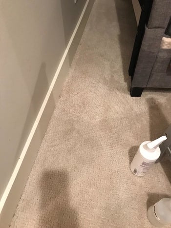 Reviewer image of the clean carpet after using the spray