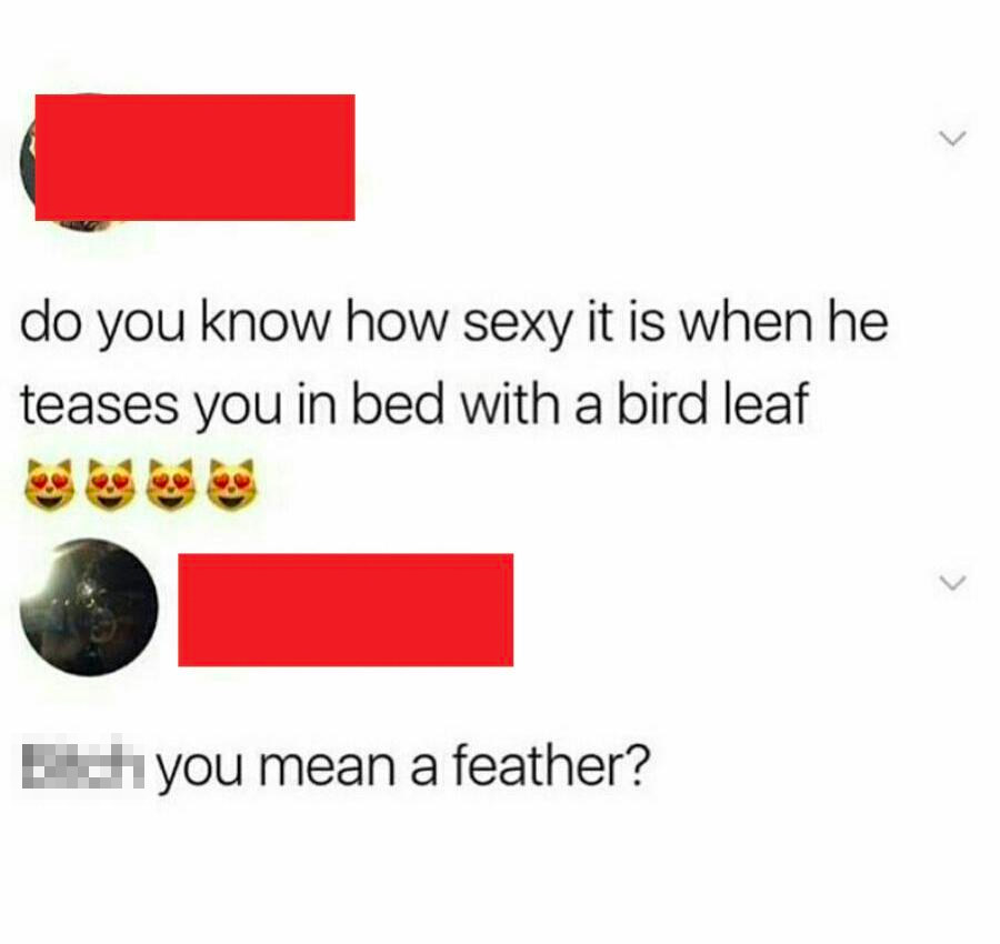 tweet of someone not remembering the word for feather