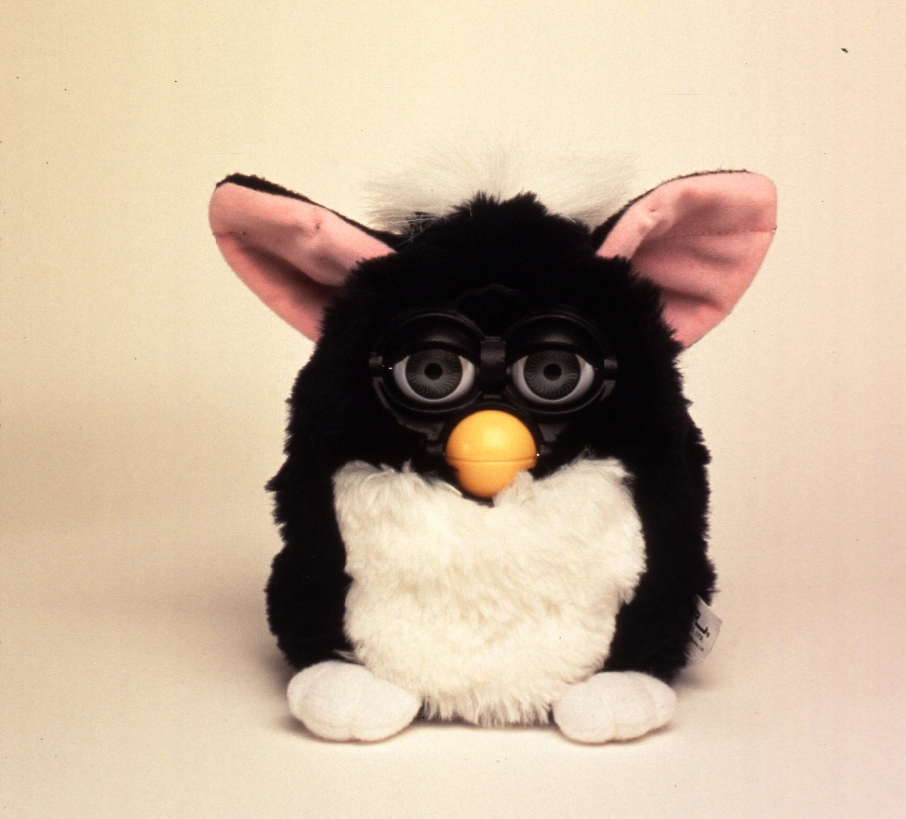 A photo of Furby