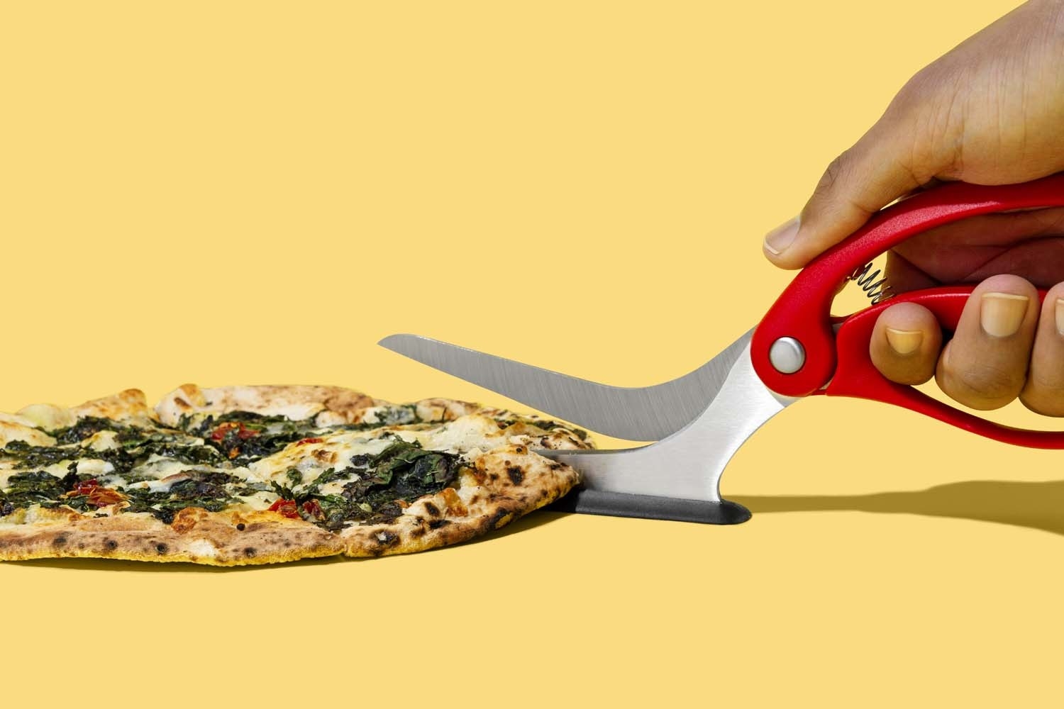 The Best Pizza Cutters For Any Budget