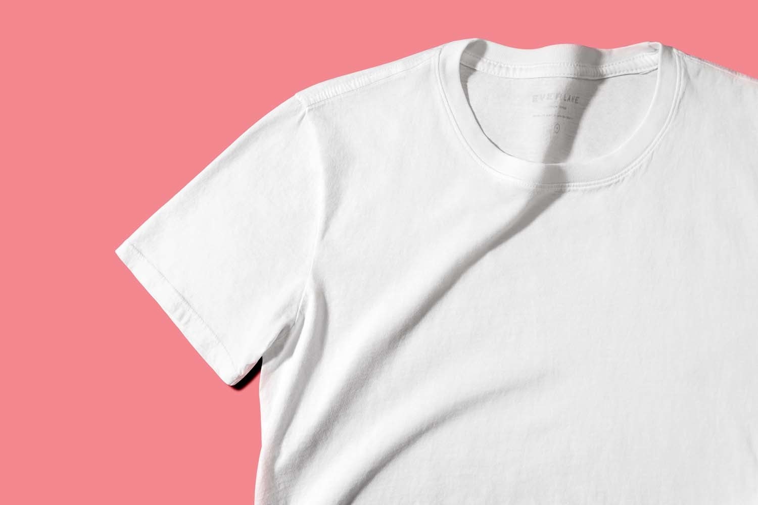 Regenboog bezoeker karton Review: The Best Men's T-Shirts For Any Budget
