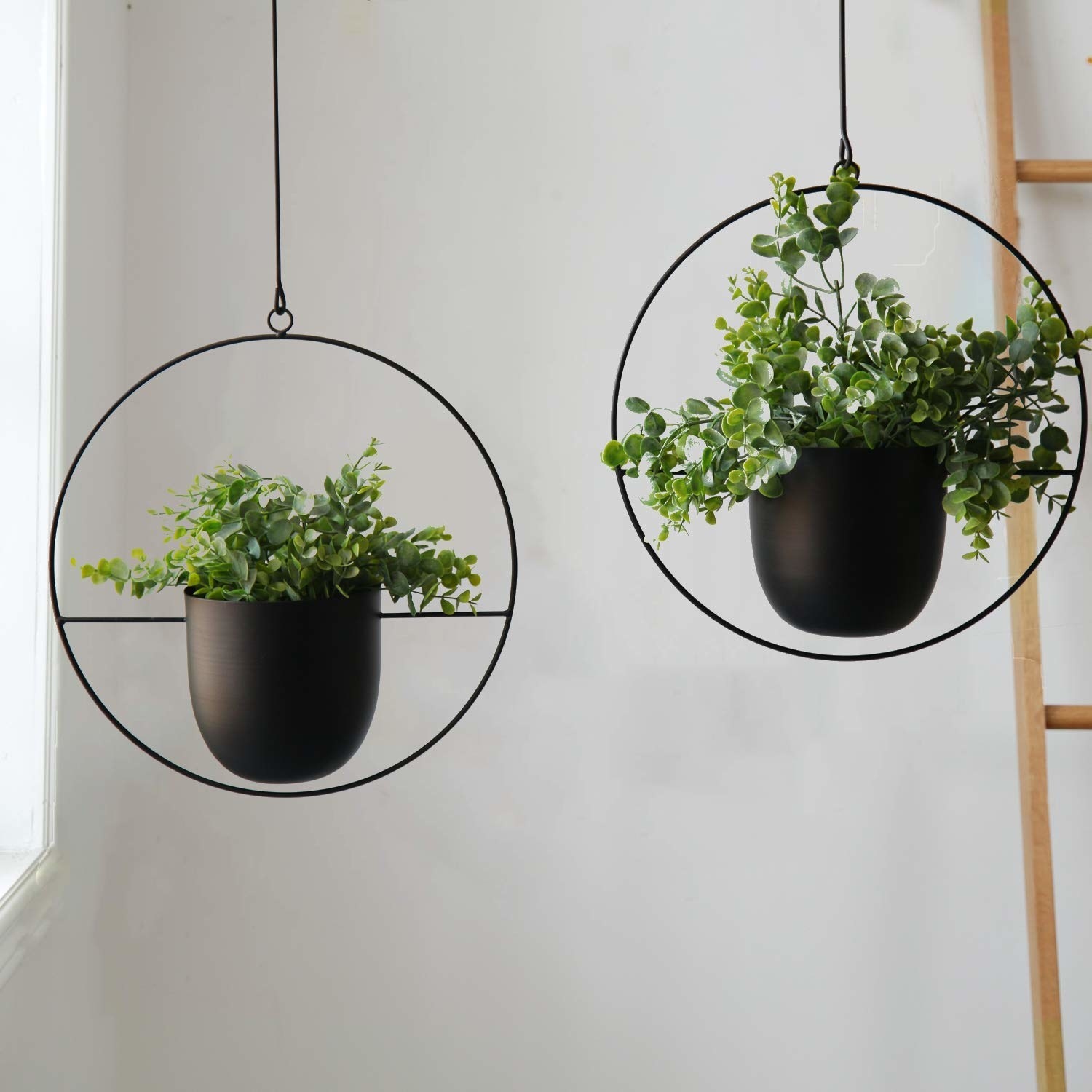 Two hanging planters in black pots with round wire connecting the pot 