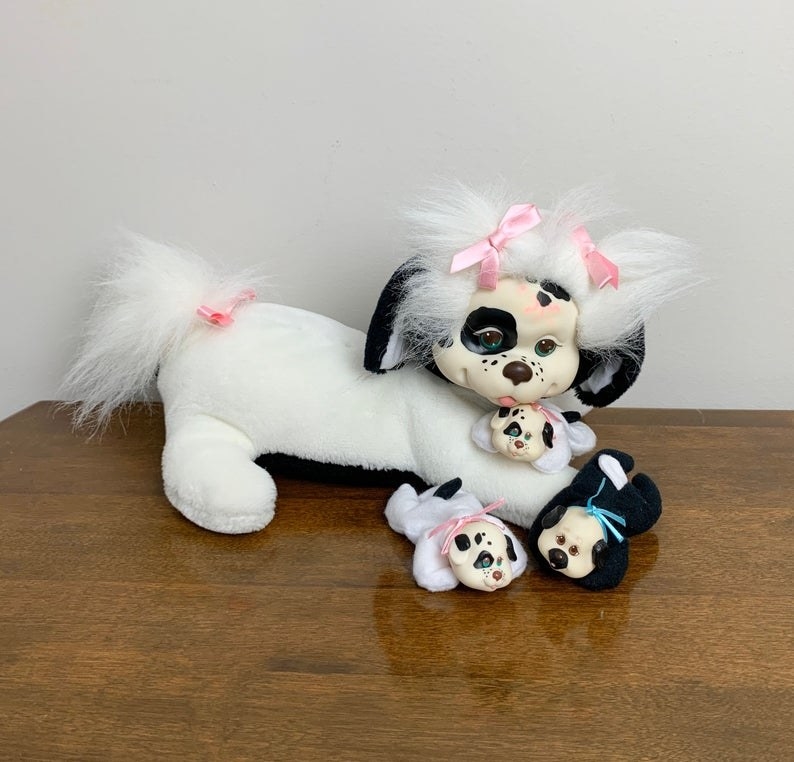 A black and white dog Puppy surprise alongside her three puppies