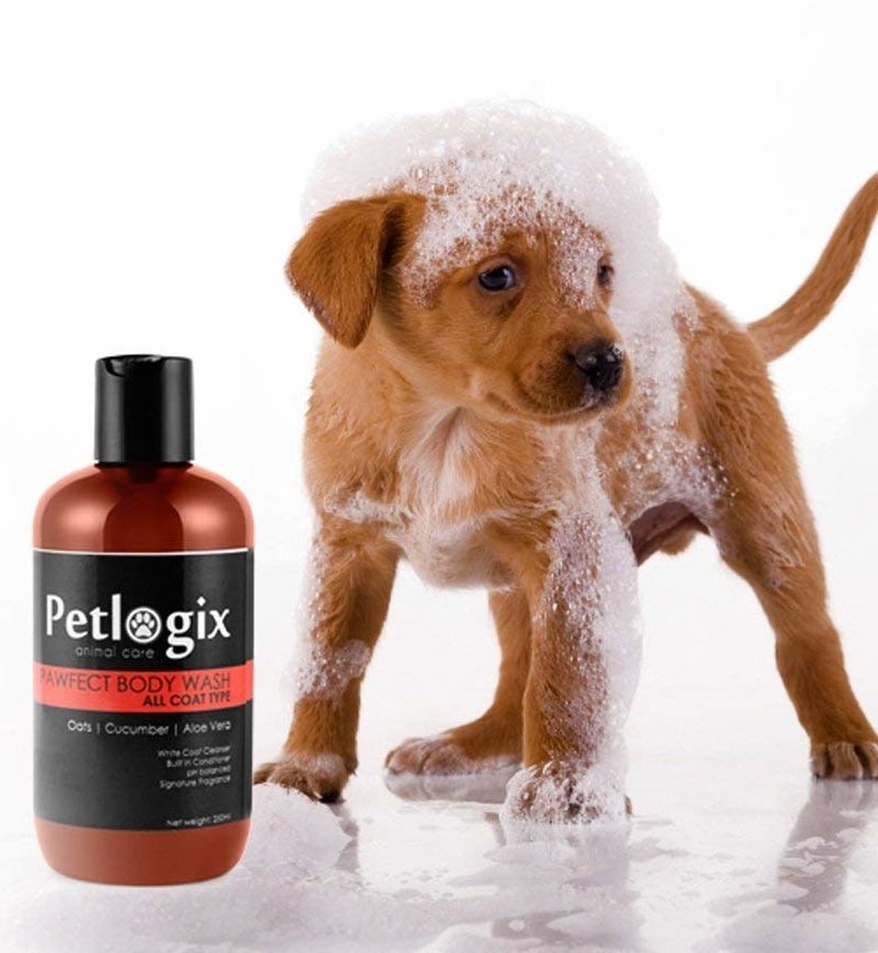 Image of the bottle kept beside a puppy with bath foam all over them.